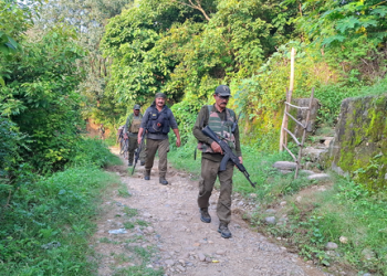 Pakistan smugglers deploy multiple drones to overwhelm India's security systems