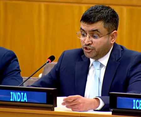 India on UN rapporteur