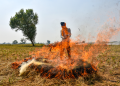Stubble burning