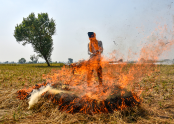 Stubble burning