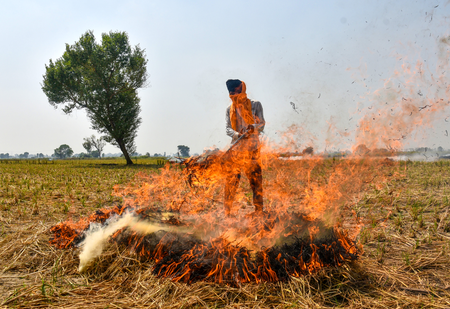 Stubble burning