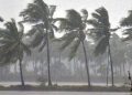 No cyclone threat to Odisha for now