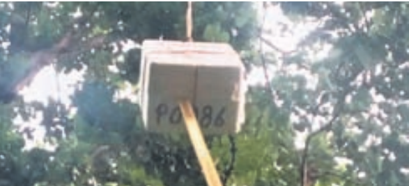 Weather instrument falls from sky in Nilagiri